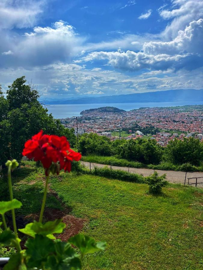 Villa & Apartments Cityview Ochryda Zewnętrze zdjęcie